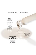 Plant Stem Cell Peptide Serum W Peptides - thumbnail 5