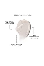Daily Moisturizer - thumbnail 5