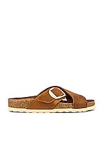 Product image of BIRKENSTOCK Siena Big Buckle Sandal. Click to view full details