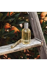 REMI Travel Spray - thumbnail 10