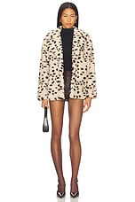 Teddy Coat - thumbnail 7