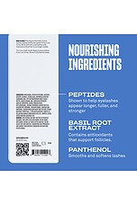 Intensifying Primer - thumbnail 8