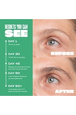 Amplifying Brow Serum - thumbnail 6