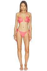 Naos Bikini Bottom - thumbnail 7