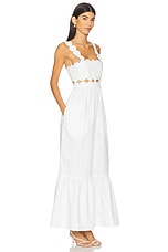Campbell Dress - thumbnail 5