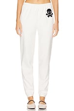 Georgie Pant
