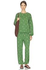 Nash Sweatpant - thumbnail 8