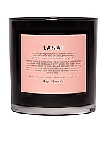 Product image of Boy Smells Lanai Scented Candle. Click to view full details