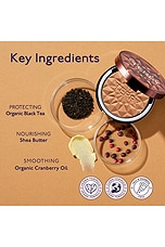 Tea To Tan Sun Powder - thumbnail 6