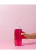 Superbelly Strawberry Hibiscus - thumbnail 8