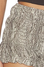 Zia Ruffle Short - thumbnail 9