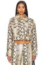 Xaavier Jacket