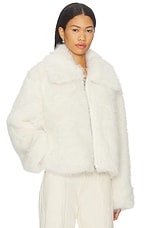 Kallie Faux Fur Jacket - thumbnail 4