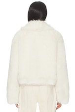 Kallie Faux Fur Jacket - thumbnail 5