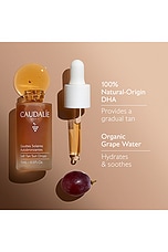 Self-Tan Sun Drops - thumbnail 8