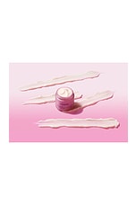Resveratrol Lift Firming Night Cream - thumbnail 6