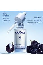 Vinoperfect Dark Spot Serum - thumbnail 10