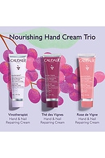 Hand Cream Trio - thumbnail 5