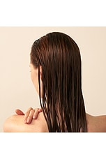 Delicate Volume Conditioner With Rose Extracts - thumbnail 7