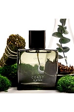 Coast Functional Fragrance - thumbnail 9