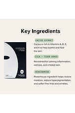 Cactus Soothing Sheet Mask 4 Pack - thumbnail 9