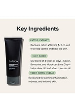 Purifying Clay Cleanser - thumbnail 8
