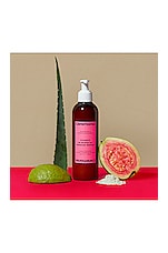 Champu De Guava For Damage Repair - thumbnail 5