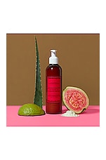 Acondicionador De Guava For Damage Repair - thumbnail 5