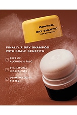 Dry Shampoo Con Arrowroot - thumbnail 8