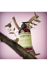 Lavender Peppermint Body Lotion - thumbnail 5