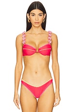 Lily Bikini Top