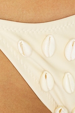 Eve Shells Bottom - thumbnail 8