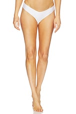 Cotton Thong - thumbnail 4