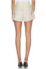 Multi Pleats Short - thumbnail 7