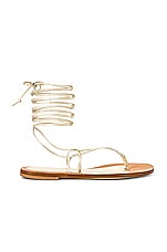 Product image of CoRNETTI Lola Lace Up Sandal. Click to view full details