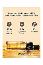 Propolis Light Ampule - thumbnail 7