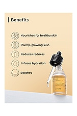 Propolis Light Ampule - thumbnail 8