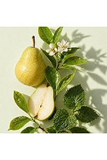 Good Anjou Fragrance - thumbnail 6