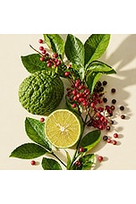 Brain Stems Fragrance - thumbnail 6