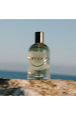 Brain Stems Fragrance - thumbnail 8