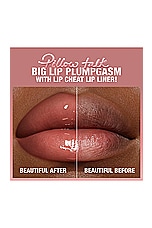 Pillow Talk Big Lip Plumpgasm - thumbnail 9