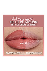 Pillow Talk Big Lip Plumpgasm - thumbnail 10