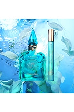 Calm Bliss 10 ML Fragrance - thumbnail 6