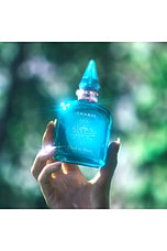 Calm Bliss 10 ML Fragrance - thumbnail 7