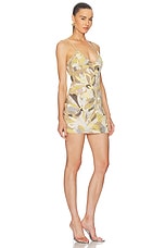 Sasha Dress - thumbnail 6