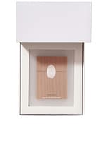 Aroma Jungle Eau De Parfum 30ml - thumbnail 6