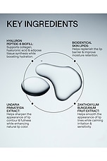 Liplift Hyaluron Peptide-6 BioFill Lip Treatment - thumbnail 10