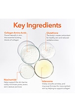 DRx Biorejuvenation Serum - thumbnail 10