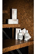 01 "Taunt" Room + Linen Spray - thumbnail 7