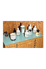 01 "Taunt" Room + Linen Spray - thumbnail 8